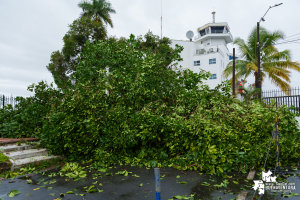 Gestión del Riesgo del Valle y Buenaventura hacen seguimiento a impacto de fuertes lluvias 