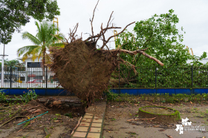 Gestión del Riesgo del Valle y Buenaventura hacen seguimiento a impacto de fuertes lluvias 