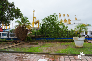 Gestión del Riesgo del Valle y Buenaventura hacen seguimiento a impacto de fuertes lluvias 