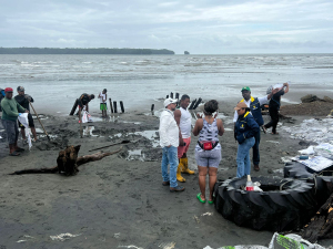 Gestión del Riesgo de Buenaventura aborda la erosión costera en Juanchaco