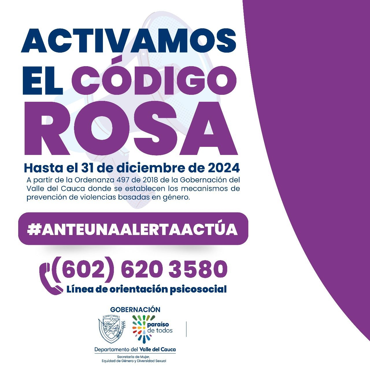 Gobernadora ordena activar el Código Rosa en el Valle del Cauca, para prevenir violencias basadas en género