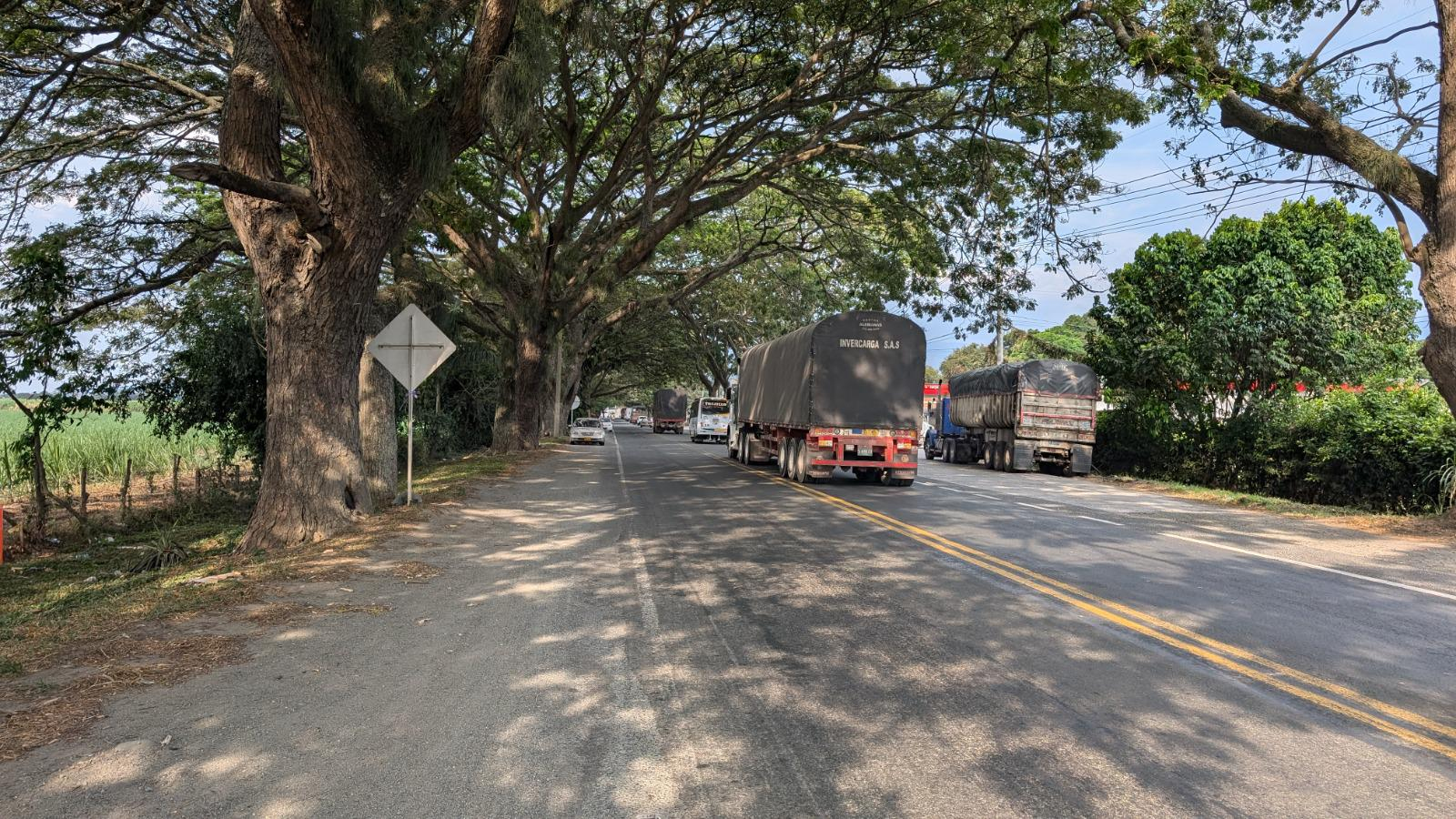 Tras llamado de la Gobernadora, concesionario rediseñará trazado de la vía  Buga-Buenaventura para evitar arboricidio 