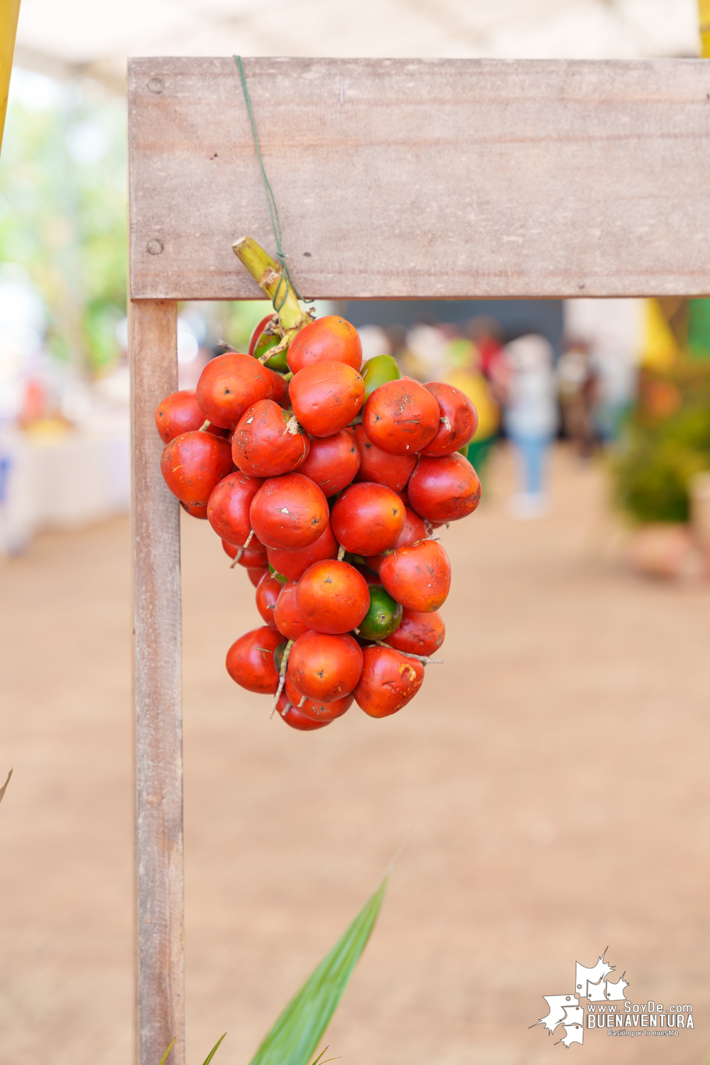 La XX Expoferia Campesina 2024 fue una vitrina para productos de campesinos, artesanos y pescadores de Buenaventura