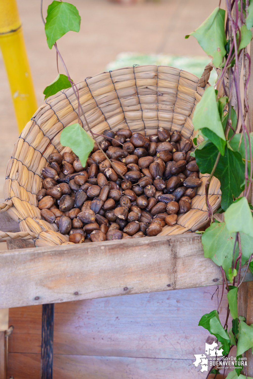 La XX Expoferia Campesina 2024 fue una vitrina para productos de campesinos, artesanos y pescadores de Buenaventura