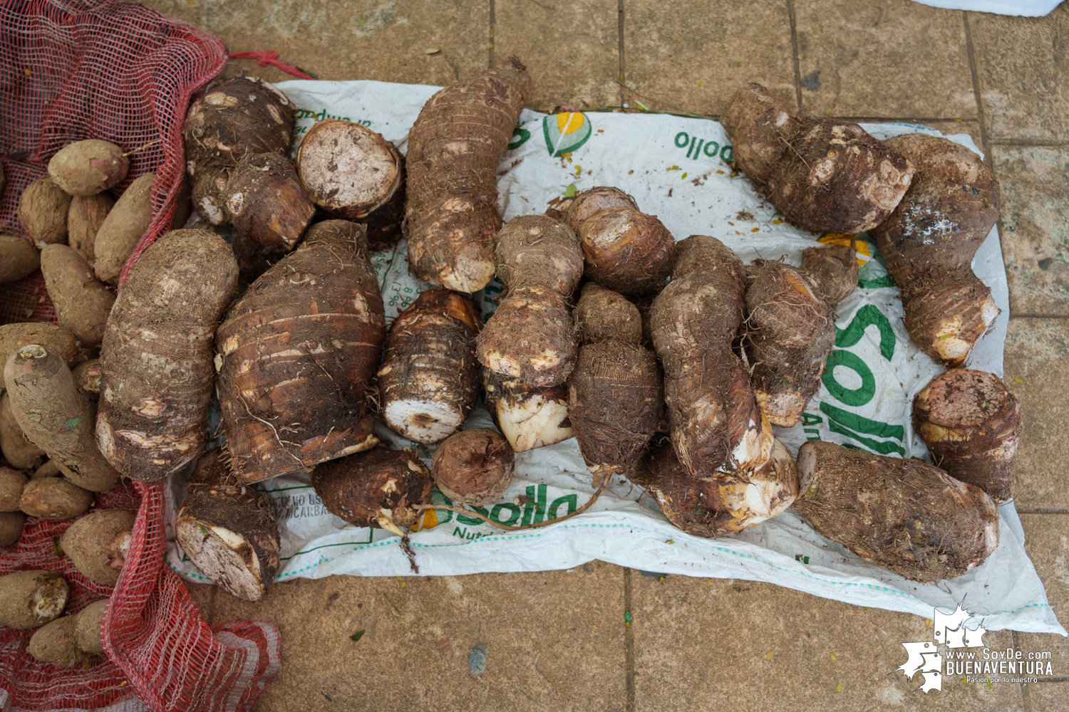 La XX Expoferia Campesina 2024 fue una vitrina para productos de campesinos, artesanos y pescadores de Buenaventura