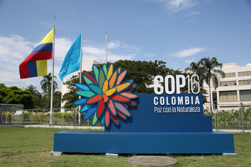 Declaración de Inírida: Un hito para el empoderamiento de la mujer en la COP16