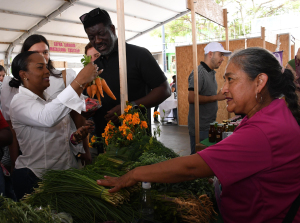 Angela Reyes, la bonaverense que está innovando la Agricultura del Valle 