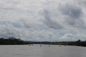 La Armada de Colombia refuerza la seguridad en el Chocó