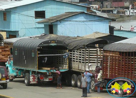 Superada la anormalidad en el transporte de madera en la DAR Pacífico de la CVC