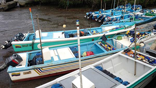 Armada Nacional ha inmovilizado siete pesqueros ecuatorianos con más de cinco toneladas de pesca ilegal en febrero