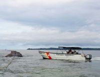 Incautada madera ilegal cuando era transportada por la bahía de Buenaventura