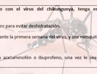 Chikungunya, un nombre exótico para un virus indescriptible