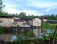 Se realizará foro con candidatos a la Alcaldía de Buenaventura sobre Reparación a las Víctimas