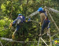 La fuerza pública aseguró el área donde fue derriba torre de energía y técnicos ya se encuentran alistando en la zona