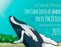 Temporada de ballenas 2015