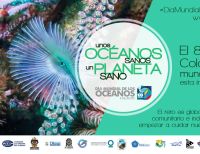 Buques oceanográficos ARC “Providencia” y ARC “Malpelo” estarán abiertos al público esta semana