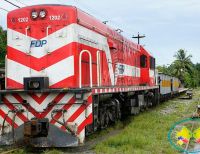 Impala busca evitar la multa de 40 millones de dólares que le impondría el Estado por cese de operaciones del tren