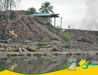 El EPA realizó inspección en zonas de comercialización de madera