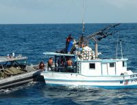 Armada Nacional detiene barco costarricense con pesca ilegal