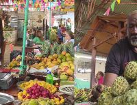 Agricultura del Valle planea ser la despensa regional