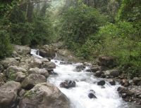 Gobernación, CVC y sector privado suscribirán compromiso para protección de cuencas y producción de agua