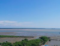 Ríos no son los generadores de la sedimentación en la bahía de Buenaventura