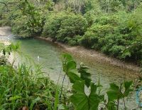 Se tomaron medidas para prevenir muertes por inmersión en el charco La Tortuga en San Cipriano