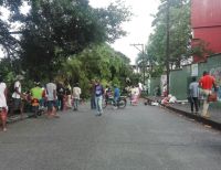 Caída de árbol ficus dejó daños materiales y mucha preocupación en la comunidad del barrio La Independencia