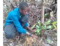 Estudiantes realizaron reforestación en el Bajo Calima