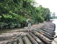 2.038 piezas de madera taladas y transportadas ilegalmente fueron incautadas por la Armada Nacional