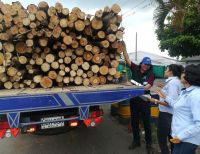 En marcha Plan de Contingencia por falta de papelería para la expedición de salvoconducto para transportar forestal