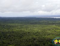 El Pacífico, una de las regiones de Colombia con mayor descenso en la deforestación