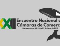 Viceministra de Cultura, Zulia Mena García, estará el 29 de junio en la XXII Asamblea Nacional de Cámaras de Comercio