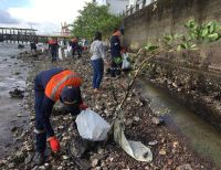 Se recolectaron 1.5 toneladas de basura en la campaña “Buenaventura Limpia” que lideró la Dimar