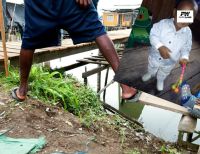 Murió menor por inmersión en zona palafítica del barrio Miramar en Buenaventura