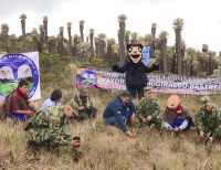 Con segunda siembra de frailejones, Ejército y CVC trabajan por la preservación de páramos en Tuluá