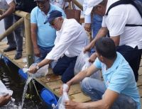 CVC y Fuerza Aérea llevarán 30 mil bocachicos al río Cauca para contribuir con emergencia ambiental por Hidroituango