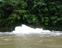 La CVC suspendió lavadero ilegal que produjo una espuma que provocó la muerte de peces en el río Dagua