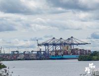 La Supertransporte abrió investigación contra la Sociedad Portuaria Terminal de Contendedores de Buenaventura S.A.