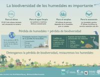 El Ministerio de Ambiente avanza en la conservación y gestión sostenible de los humedales del país