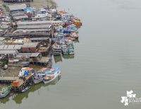 El gremio de cabotaje en Buenaventura mantiene la hora cero del lunes 16 de noviembre para iniciar parálisis del sector