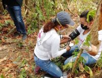 Se realizó la liberación de una civil en Arauca: CICR