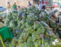 En el marco de la campaña Cosecha Solidaridad, consejos comunitarios aportaron de sus alimentos para la zona urbana de Buenaventura