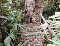 La Administración Distrital de Buenaventura busca extender convenio con FONTUR para la finalización de sendero turístico en San Cipriano