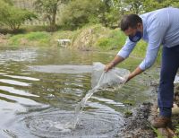 La CVC analiza calidad del agua de humedales del Valle del Cauca