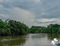 Tres pescadores del río Naya se encuentran desaparecidos