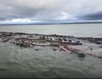 La Armada de Colombia incautó 577 trozas de madera en la bahía de Buenaventura