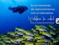 Comienza la reapertura gradual de los Parques Nacionales Naturales de Colombia