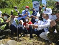 En el Valle del Cauca se sembraron 13 mil plántulas en Día Mundial del Árbol