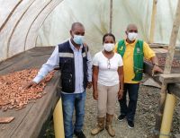 Productores de cacao y papachina del Bajo Calima recibirán apoyo técnico